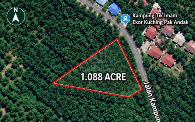 Tanah Pertanian 1.088 Ekar Ekor Kucing Kulim Kedah 1