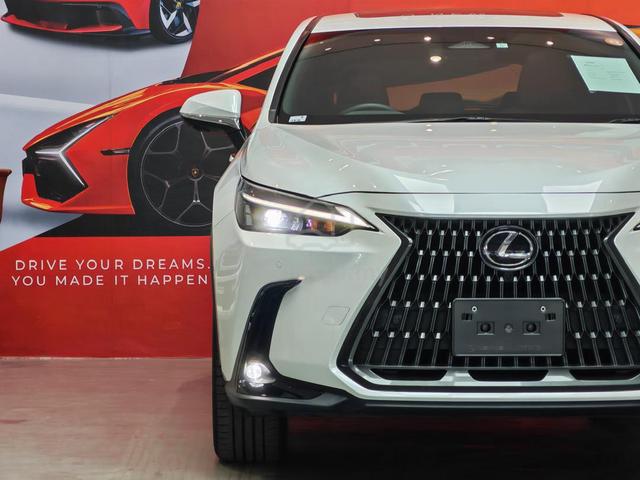 [Negotiable] 2023 Lexus NX250 2.5 BASE GRADE (A) - 2
