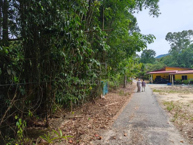 Tanah dusun dalam Bandar 1