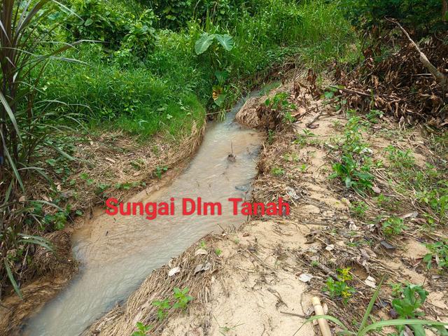 Tanah 3.5 ekar di Inas  ( Sgt Sesuai Buat Rumah+Dusun+Kolam ikan) 3