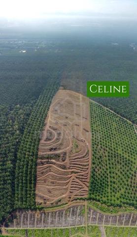Padang Serai, Padang Meha, Karangan Kulim, Kedah Residential Land 1