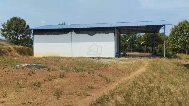 Durian Farm For Sale Negeri Sembilan 1