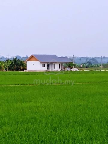 Tanah Sawah, Sekinchan 1