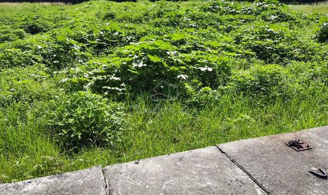 Industrial land at Juru 1.9 acres Bukit Mertajam 1
