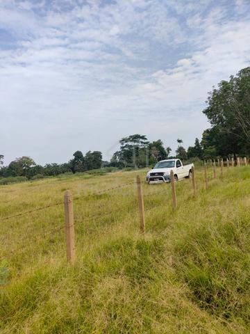 Pahang Chenor Agricultural Land For Rent 1