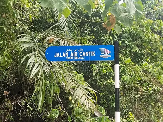 Freehold Agriculture Land at Ayer Paabas, Lendu Alor Gajah Melaka 1