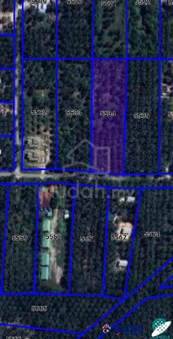 Tanah Sawit Matang 2.02 Ekar Untuk Dijual di Tebuk Yan 2, Pantai Remis 1