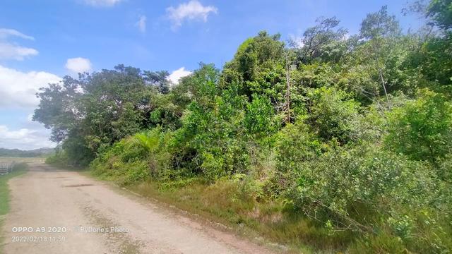 Tanah 6 ekar Sebelum Naik Highway LPT (exit KERTEH) untuk dijual 4