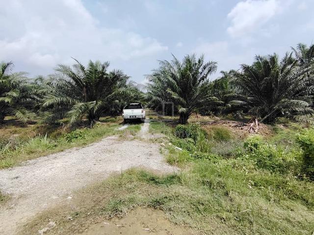 Telok Panglima Garang Land 📌3.148 Acres (Near Jalan Telok Mengkuang) 3