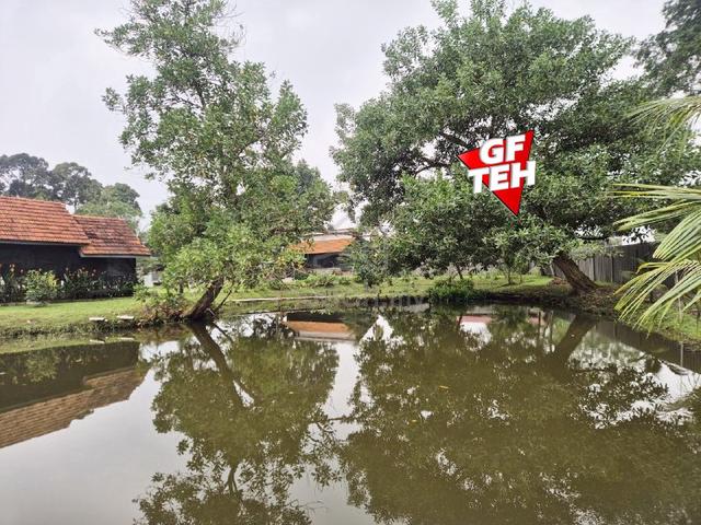 2.26 acre Best places to retire | Organic Farm | Taiping | Kamunting 1