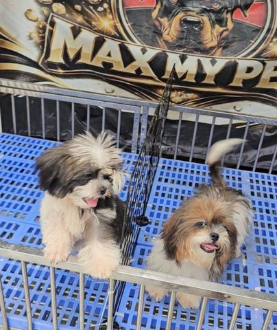 Carousel Image