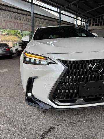 Lexus NX250 2.5 VL 5A 8k KM ROSEBLACK 23 UNREG JPN - 5