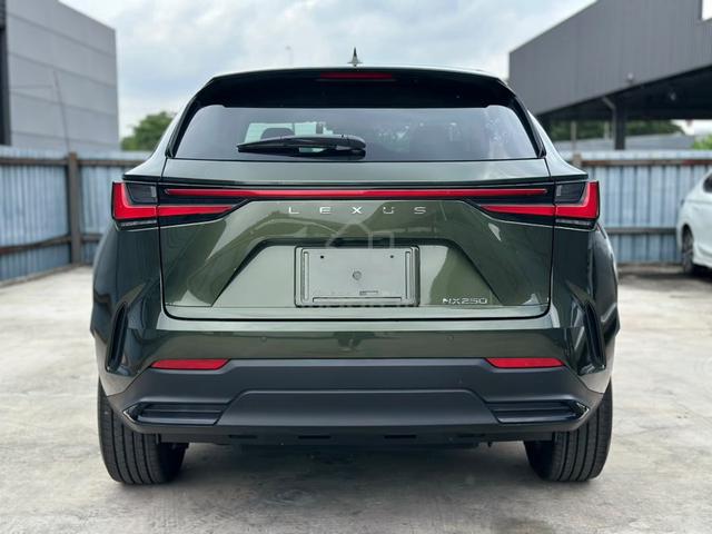 RECON UNREG 23 Lexus NX250 BASE *SPECIAL COLOR - 5