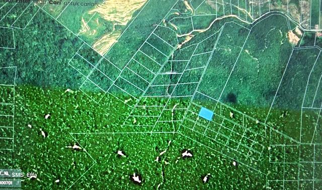 Tanah kebun di Kampung Parit Tinggi, Kuala Pilah UITM Geran Individu 5