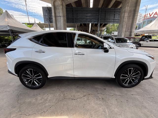 2023 Lexus NX250 2.5 VL/Version L (A) - 5