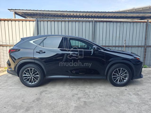 2023 Lexus NX 250 Luxury S/Roof 4CamHUD RedLeather - 5