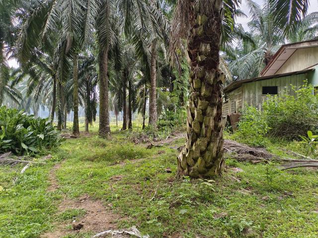 1.36 ekar land @ Sungai Raya, Tempat Air Hitam, Linggi, PD, N9 3