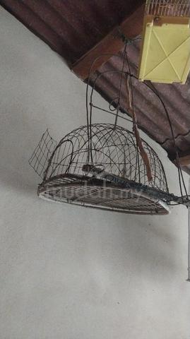 Carousel Image Selected