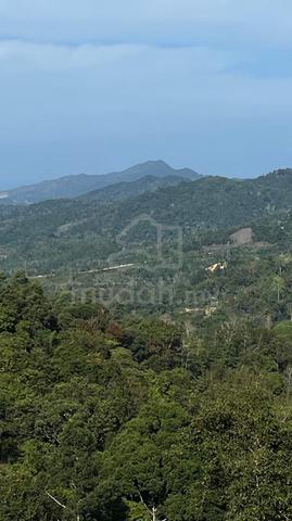 Tanah Single Grant Kota Belud 1