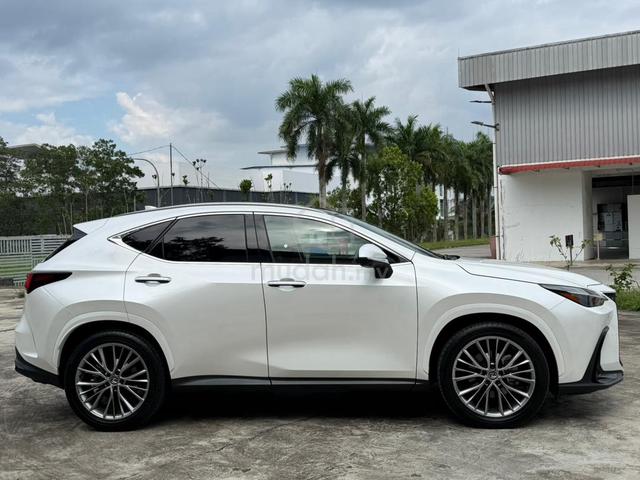 2023 Lexus NX 250 2.5 VERSION L SROF 4CAM 35K KM - 5