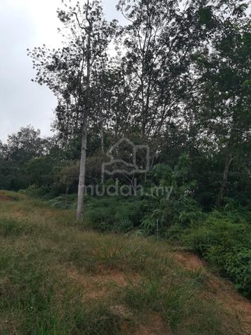3.45 Acre: Prime Land Tanjung Malim – Direct from Owner!!! 1