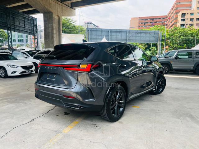 2023 Lexus NX 250 2.5 LUXURY VL Spec Ready Stock - 4