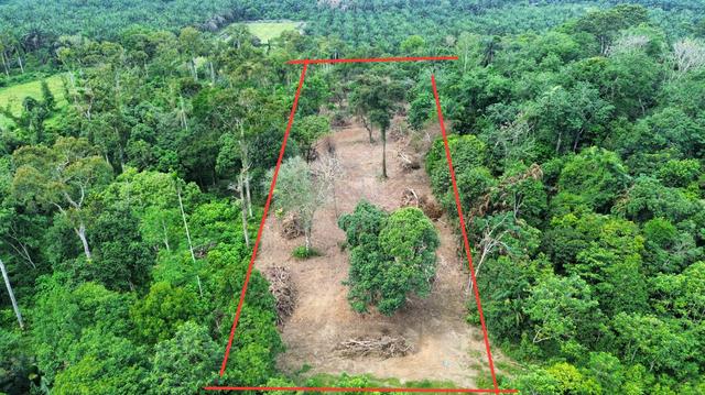 Tanah Geran Individu|Freehold|Bagan Baru Selama 1.5Ekar Bdekatan Jalan 1