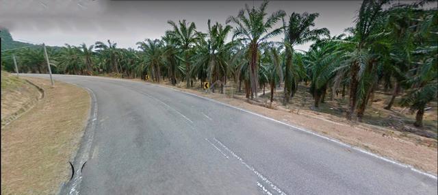Negeri Sembilan Kuala Pilah Johol 777acre Palm Oil Land SALE PMU SOLAR 1