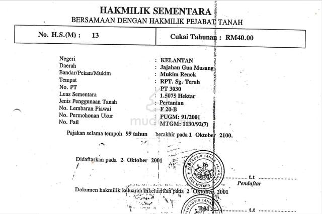 Tanah Pertanian Di Sungai Terah, Gua Musang Kelantan Untuk di Jual 1