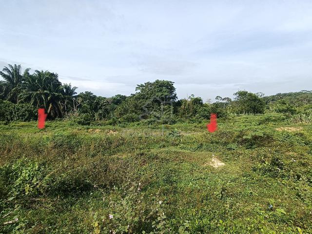 Tanah untuk dijual di Jenderam Hilir, Sepang 1