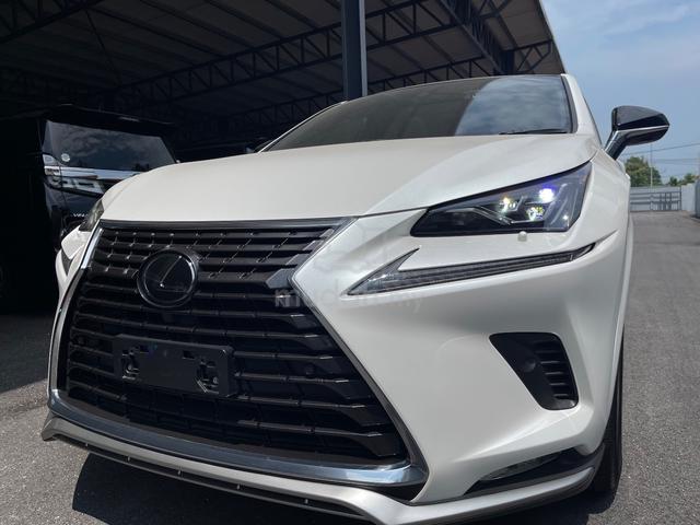 2020 Lexus NX300 2.0 SPICE&CHIC /Panoramic Roof - 2