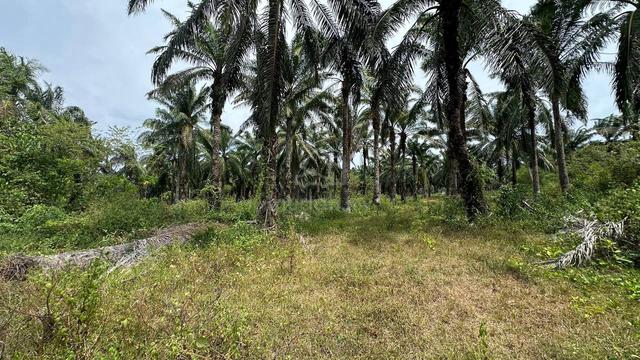 [MURAH]Banglo Lot Melaka Pindah, Alor Gajah Untuk Dijual 1