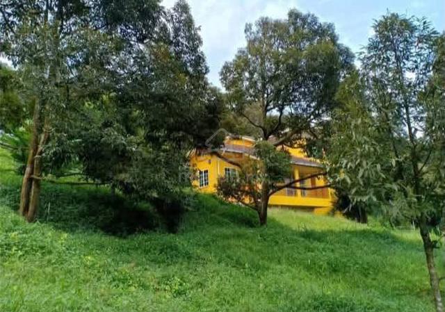 FREEHOLD Durian Resort Land Tras Raub Pahang FOR SALE 1