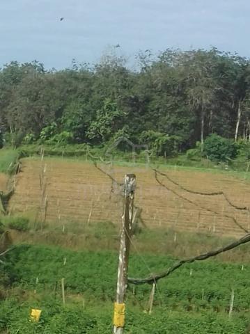 Agricultural Land for Sale, 7.8 Acre(s), Kota Tinggi, Johor | Mudah.my