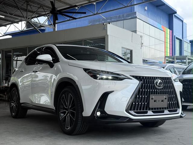 5A NEGO Black Interior‼️2023 Lexus NX250 LUXURY - 1