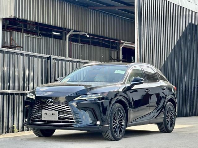 2023 Lexus RX350 2.4 LUXURY AUTO PARKING ASSIST - 1