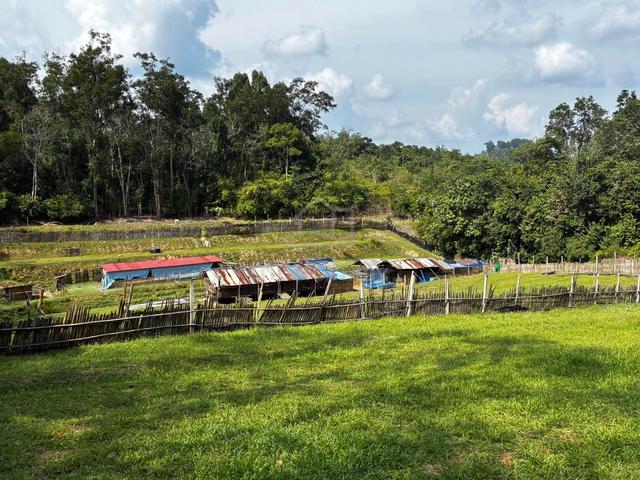 Freehold kkb Land 1