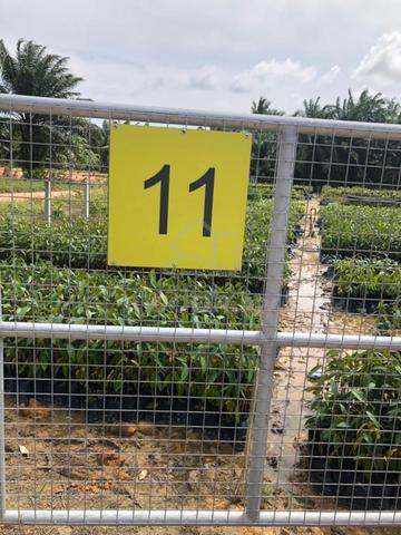 Carousel Image Selected