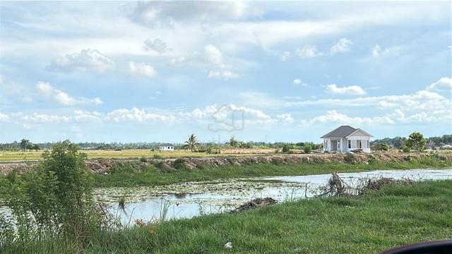 Kelantan Bachok Agricultural Freehold Land For Sale 1