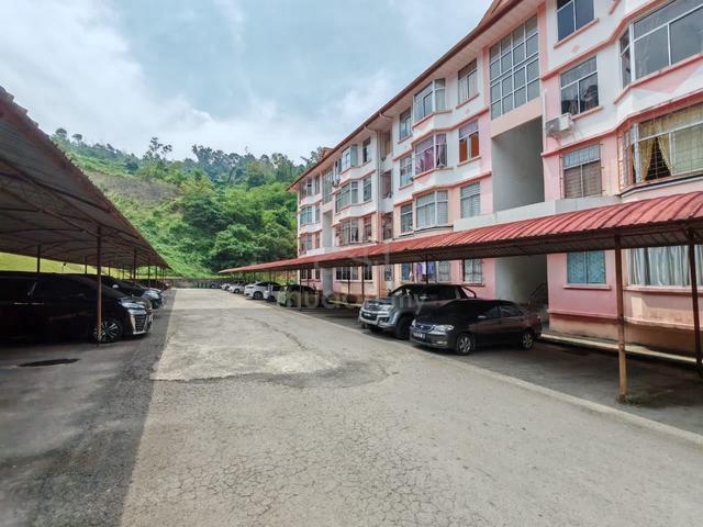 Country Heights 1