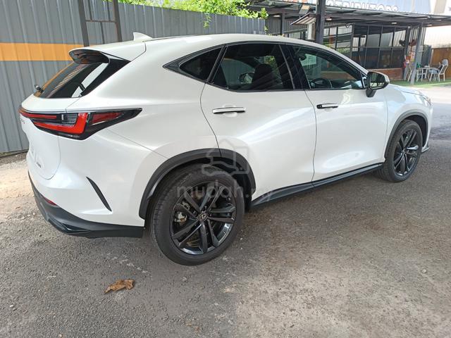 2023 Lexus NX 250 2.5 LUXURY (A) - 2