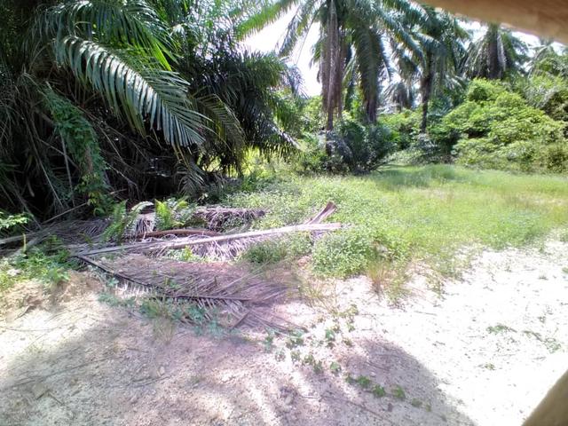 Value! 3-Acre Agri Land Next to Eco Grandeur Puncak Alam (Non-Bumi) 1