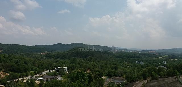 MesaHill 1