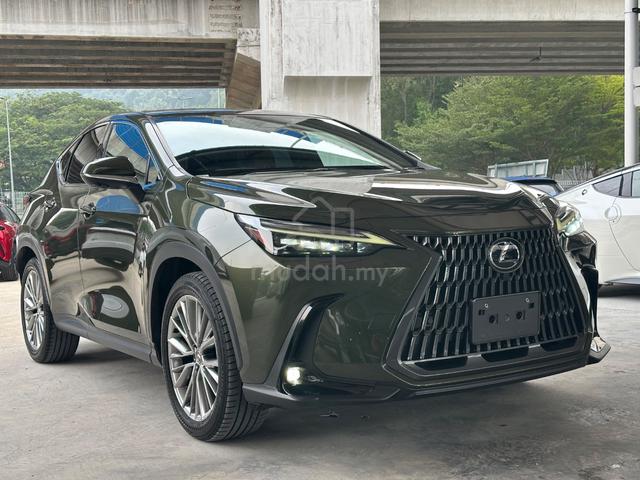 2023 Lexus NX250 2.5 LUXURY (A) - 3