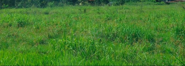 kg. Nairut talibong, tamparuli 1