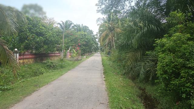 tanah murah  2 ekar di kuala sg baru melaka 1