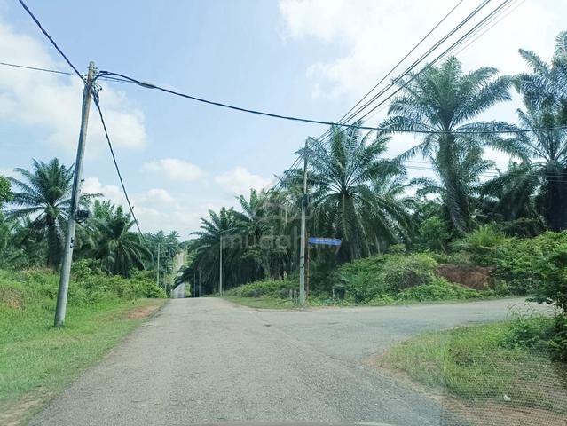 Tanah Lot Banglo, Kampung Tersusun Lipat Kajang, Jasin, Melaka 1