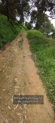5 Acres Hilltop Land in Bentong 1