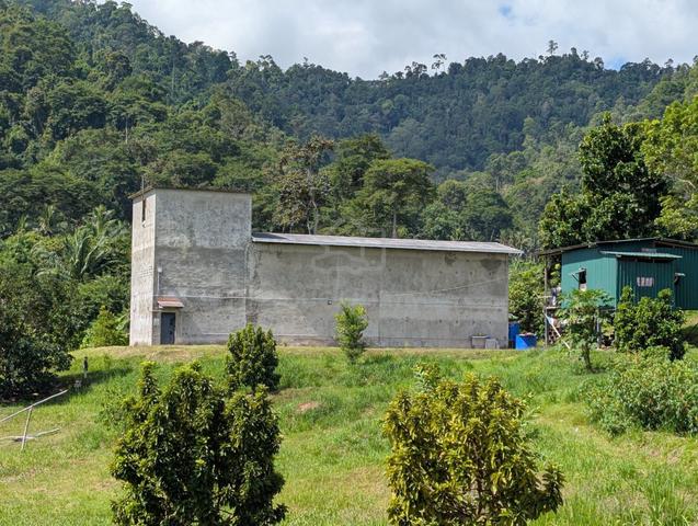 Sabah Tawau Tinakat Agricultural Land For Rent 1