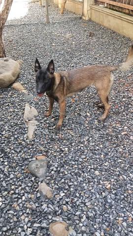 Carousel Image